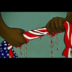 I'm not Racist Freestyle