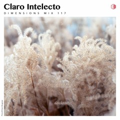 DIM117 - Claro Intelecto