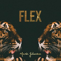 Mark Johnson - Flex (prod Advent)