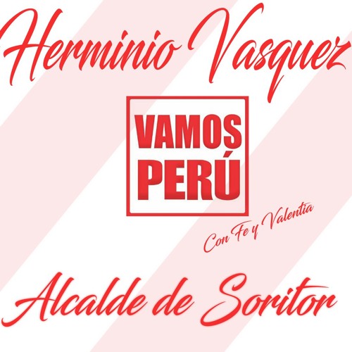Despacito - Herminio Vasquez(Jingle Politico)