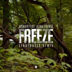 Monoir Feat. Alina Eremia - Freeze (Tennebreck Remix) (Extended)