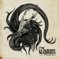 Thuum - Through Smoke Comes Fire