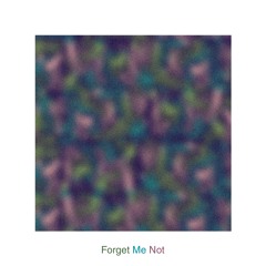 Forget Me Not (Remix)