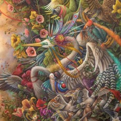 Elias Widukind | Spring