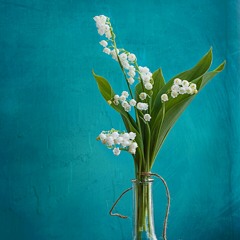 زهرة Zahra - حمزه نمرة