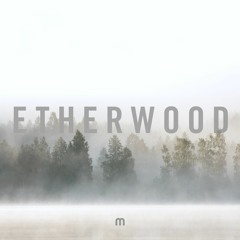 Etherwood - Shining Over Me