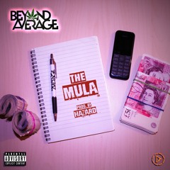 Beyond Average - The Mula