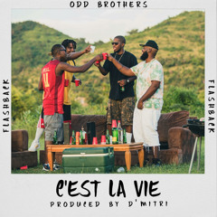 Odd Brothers - C'est La Vie (SXM Soca 2018)