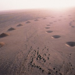 Paloma Colombe - RadioAmazigh #5 B2B BUVETTE