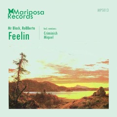 Mr Black  RoBBerto - Feelin (Criminish Remix)[Mariposa]