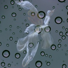 Falling Slowly (for Piano Day 2018)