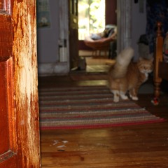 Do Right Woman, Do Right Man by Aretha Franklin- cover