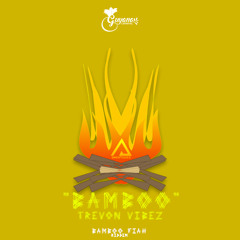 TREVON VIBEZ - BAMBOO FIAH (GUYANA CARNIVAL 2018)