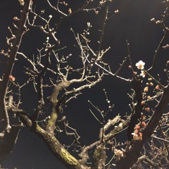 love will tear us apart (joy division cover)