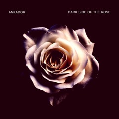 Dark Side Of The Rose