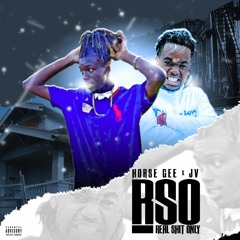 Horse Gee- Roosevelt Street