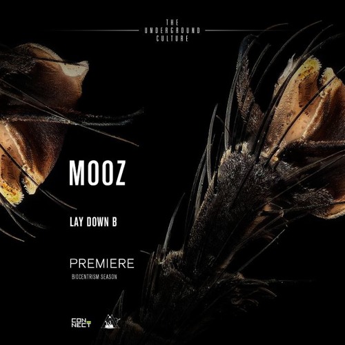 PREMIERE: Mooz - Lay Down B (Original Mix) [NEUROM]