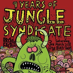 Dj Realer Jungle Syndicate set (VINYL)