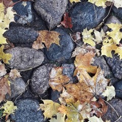 Victims Of Circumstance