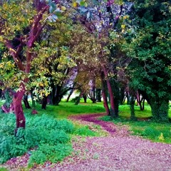 Foliada Mariñeira (C) - Yllo Kese Music - Electronic Folk (bright&punchy)