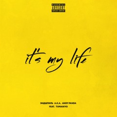 It's My Life (feat. TumaniYO)