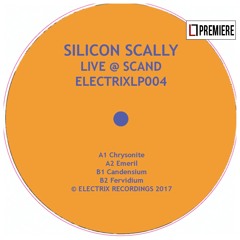 PREMIERE: Silicon Scally - Omegon (ELECTRIX012)