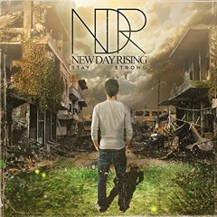 Apathy - New Day Rising