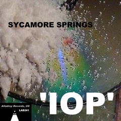 4. Case Load - Sycamore Springs - IOP (2018)