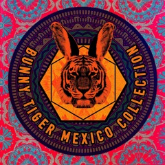 Dohko - Need U (Original Mix) Bunny Tiger Mexico Collection