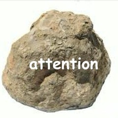 Attention