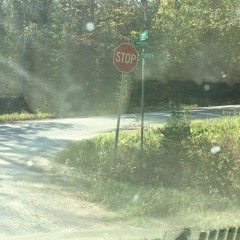 Calm Clinic3 - Sap Green