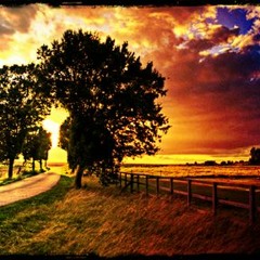 Tarckric & Interfearence - Perfect world ( Preview)