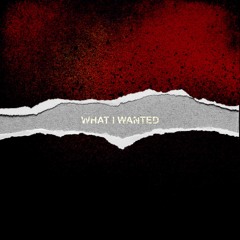 What I Wanted