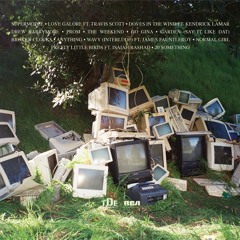 Doves In The Wind (Cover)