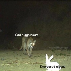 No Privacy (prod. Chronic cloud)