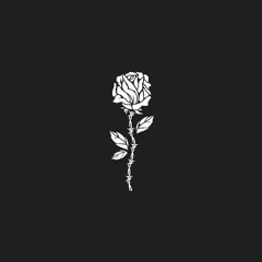 New private playlist