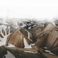 Meant to live (Cover)