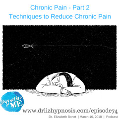 HM 74  Chronic Pain Part 2 - Techniques to Use