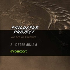 Psilocybe Project - Determinism (Erre Sound System RMX)