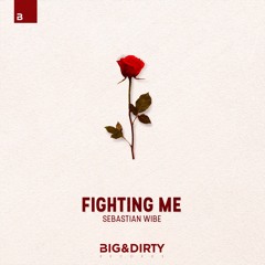 Sebastian Wibe - Fighting Me