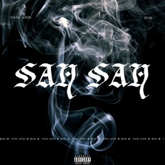 Young austin - SAY SAY(feat.$tain)