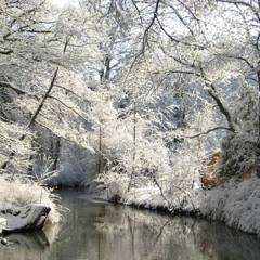 CASIONOVA - In The Grip Of Winter