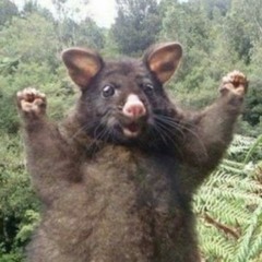 Jay vs LCdj - Disco deadwood