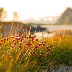 N°116 - Gimsoya:  Calm and Peaceful Relaxation Music - spa, study, relax music