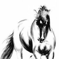 يابنت منتي على الاول  (اغاني بدويه)