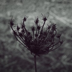 Andrea Cossu - Spira (Continuous Mix)