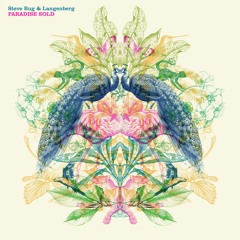 Steve Bug & Langenberg - Chord Cluster