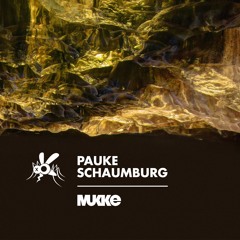 Pauke Schaumburg - Transit - MUKKE028