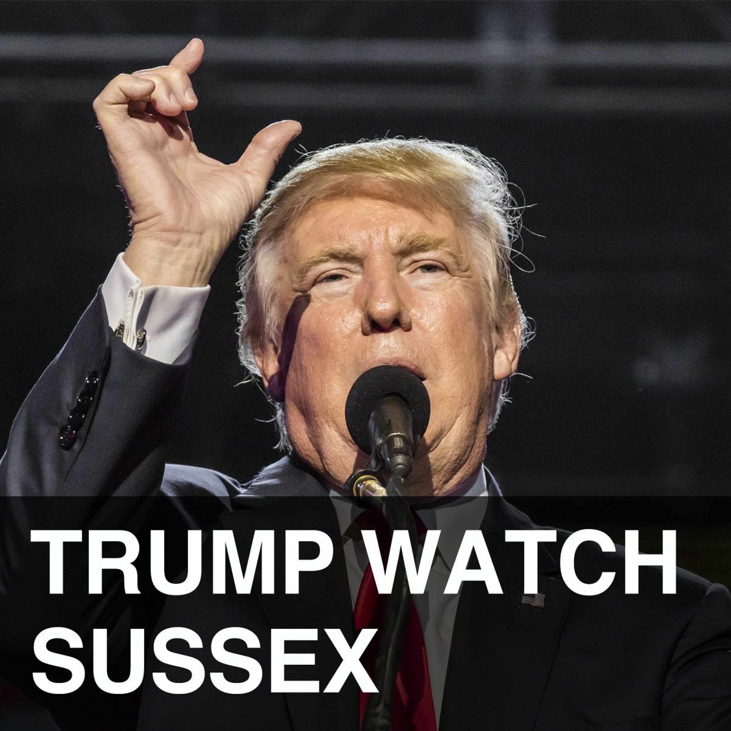 Podcast #6: Trump - America's Second Celebrity President