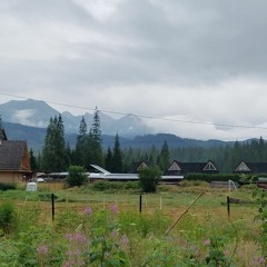 Singing and Psalming III!